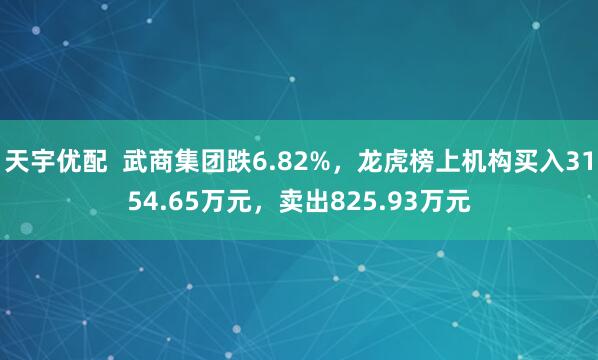 天宇优配  武商集团跌6.82%，龙虎榜上机构买入3154.65万元，卖出825.93万元
