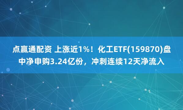 点赢通配资 上涨近1%！化工ETF(159870)盘中净申购3.24亿份，冲刺连续12天净流入
