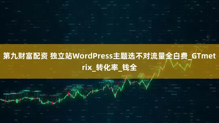 第九财富配资 独立站WordPress主题选不对流量全白费_GTmetrix_转化率_钱全
