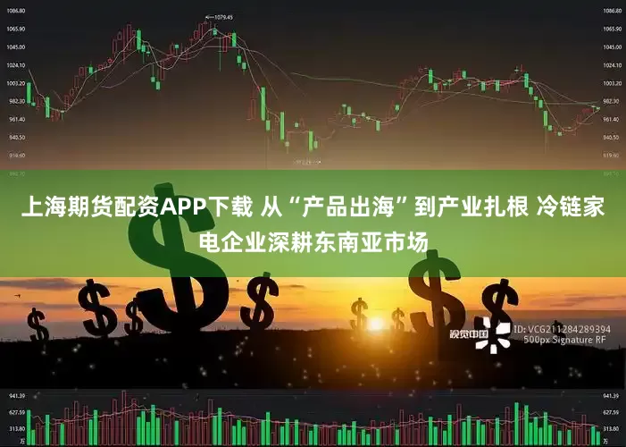 上海期货配资APP下载 从“产品出海”到产业扎根 冷链家电企业深耕东南亚市场