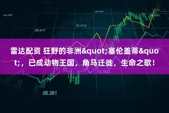 雷达配资 狂野的非洲"塞伦盖蒂"，已成动物王国，角马迁徙，生命之歌！